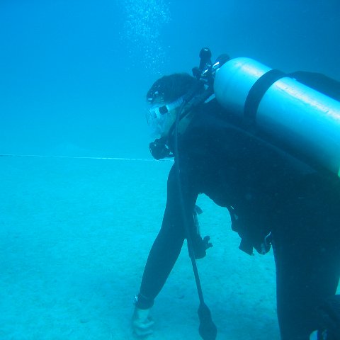IMG_0780 IMG_0780