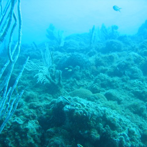 IMG_0782 IMG_0782