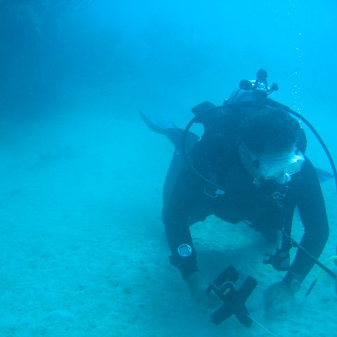 IMG_0784 IMG_0784