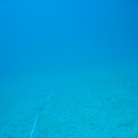 IMG_0785 IMG_0785