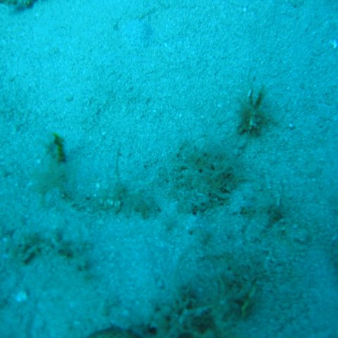 IMG_0789 IMG_0789