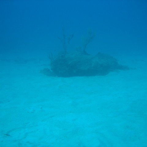 IMG_0793 IMG_0793