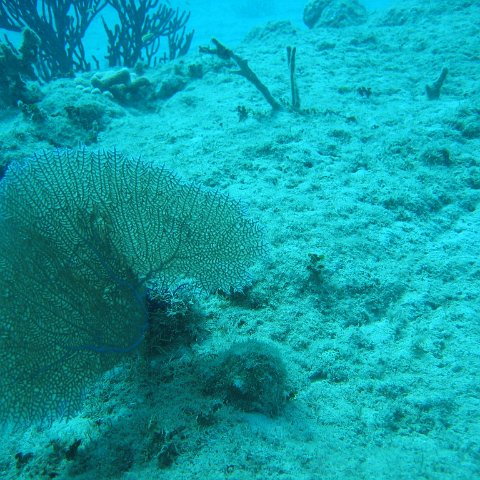 IMG_0801 IMG_0801