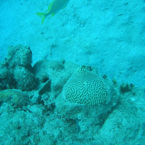 IMG_0802 IMG_0802