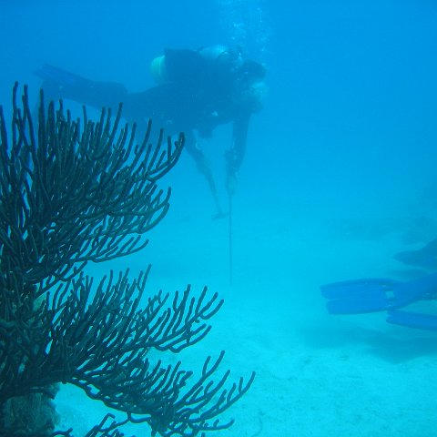 IMG_0803 IMG_0803