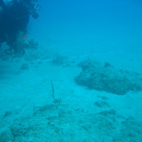 IMG_0804 IMG_0804