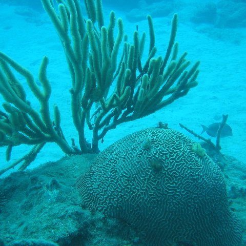 IMG_0807 IMG_0807