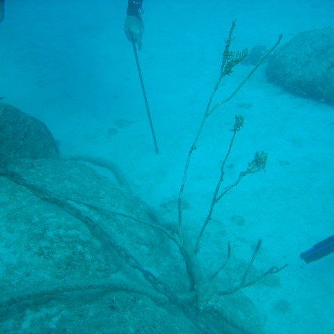 IMG_0811 IMG_0811