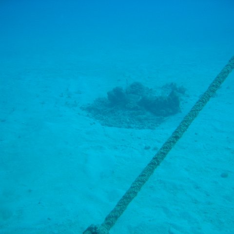 IMG_0812 IMG_0812