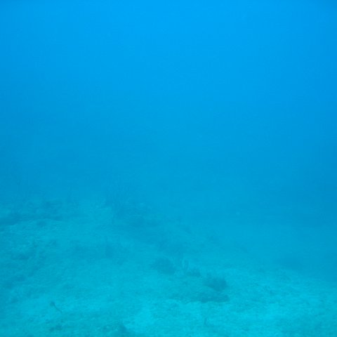IMG_0813 IMG_0813