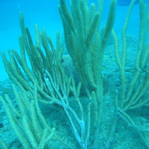 IMG_0814 IMG_0814