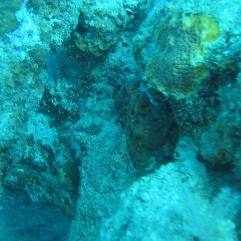 IMG_0815 IMG_0815