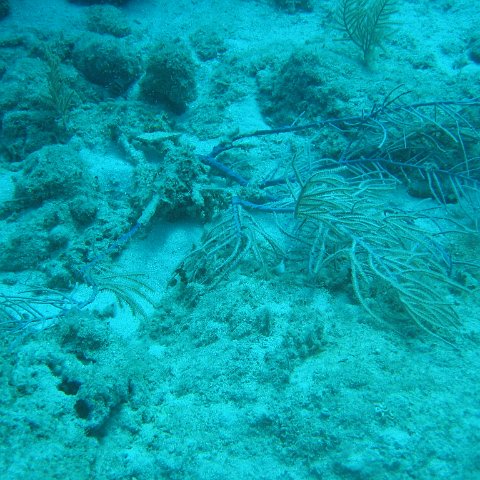 IMG_0818 IMG_0818