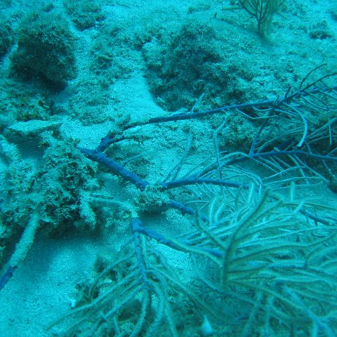 IMG_0819 IMG_0819