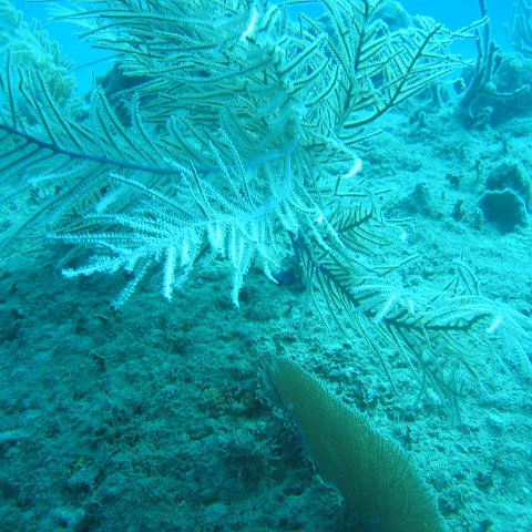 IMG_0820 IMG_0820