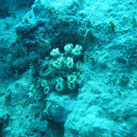 IMG_0822 IMG_0822