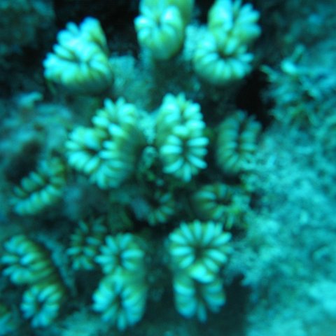 IMG_0823 IMG_0823
