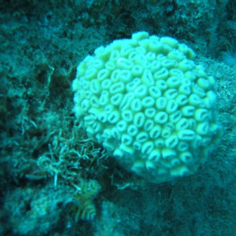 IMG_0826 IMG_0826