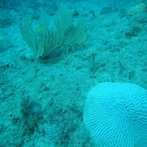 IMG_0827 IMG_0827