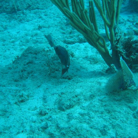 IMG_0828 IMG_0828