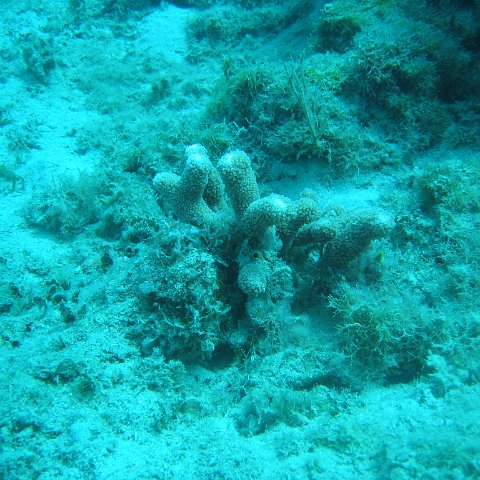 IMG_0829 IMG_0829