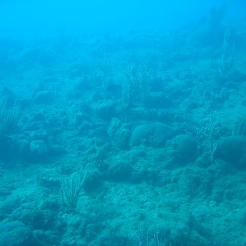 IMG_0830 IMG_0830