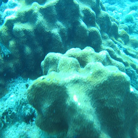 IMG_0831 IMG_0831