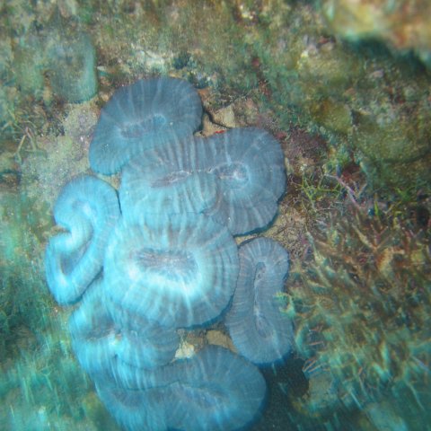 IMG_0832 IMG_0832