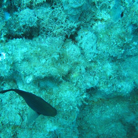 IMG_0834 IMG_0834