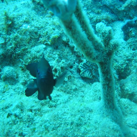 IMG_0835 IMG_0835