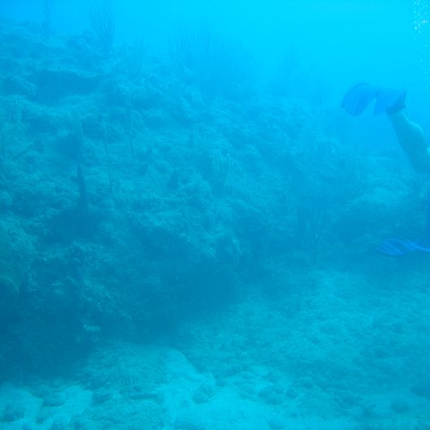 IMG_0836 IMG_0836
