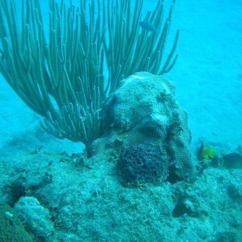 IMG_0840 IMG_0840