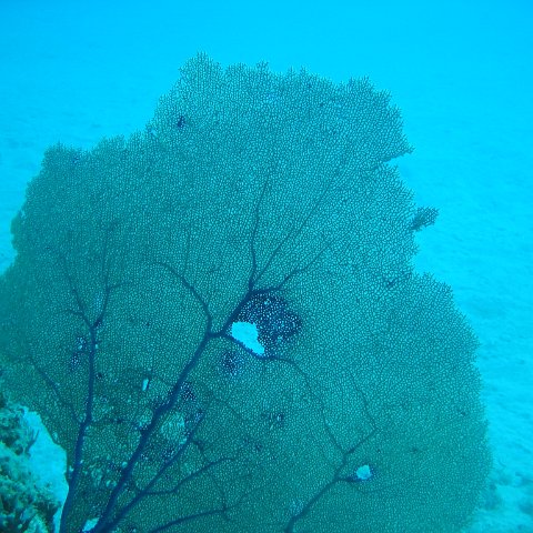 IMG_0841 IMG_0841