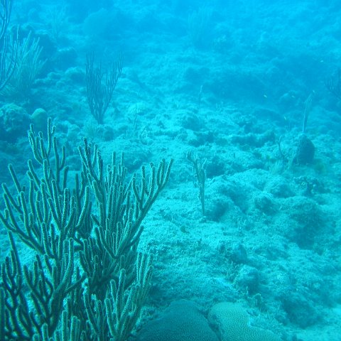 IMG_0842 IMG_0842