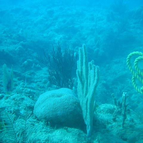 IMG_0843 IMG_0843