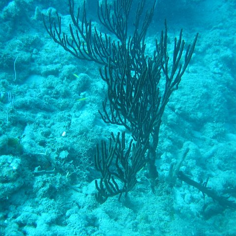 IMG_0844 IMG_0844