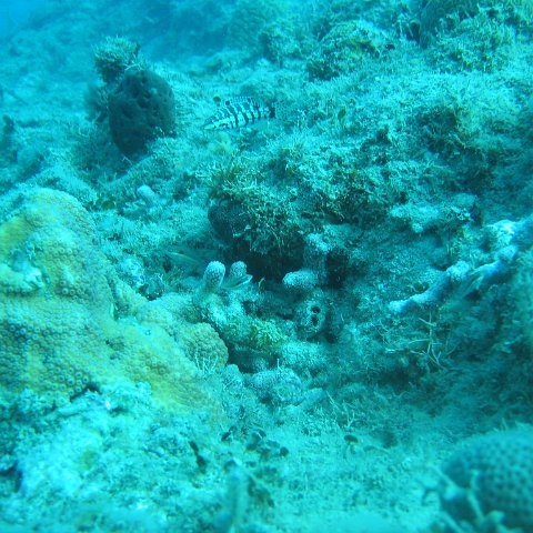 IMG_0846 IMG_0846