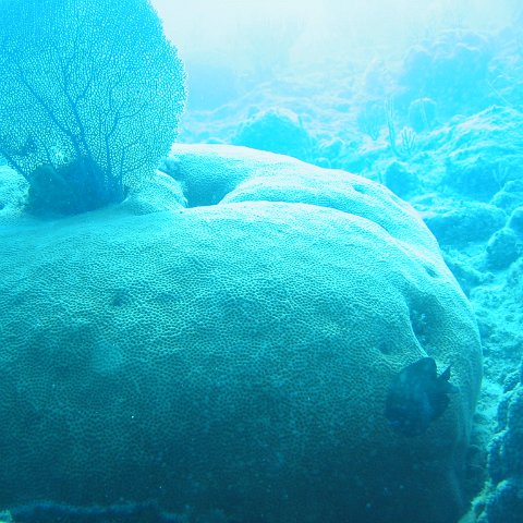 IMG_0847 IMG_0847