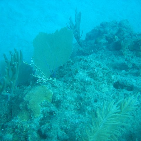 IMG_0848 IMG_0848