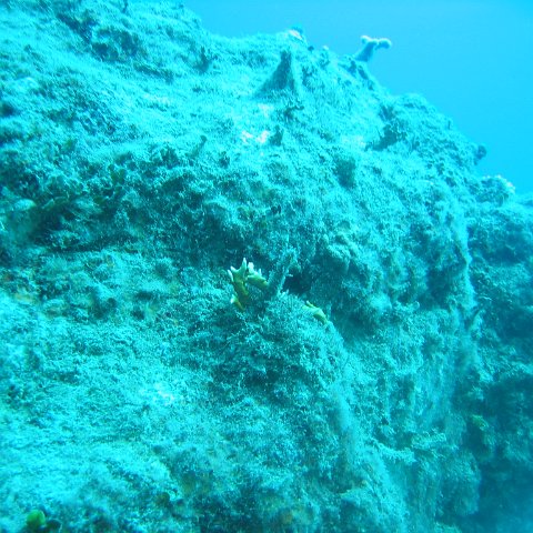 IMG_0850 IMG_0850