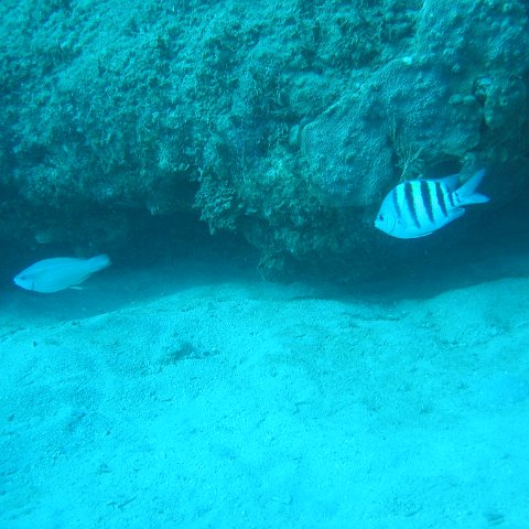 IMG_0852 IMG_0852
