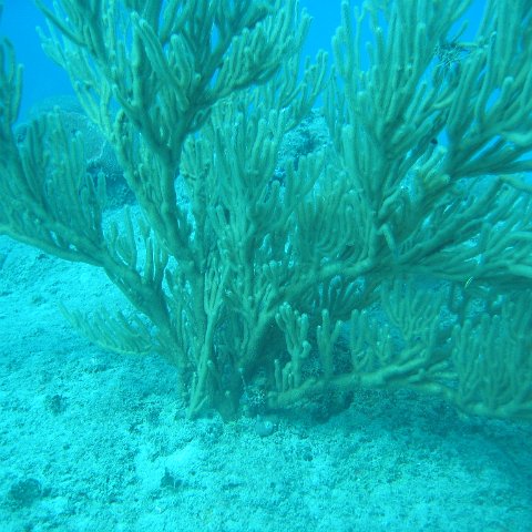 IMG_0854 IMG_0854
