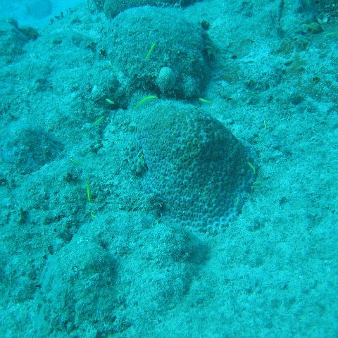 IMG_0855 IMG_0855