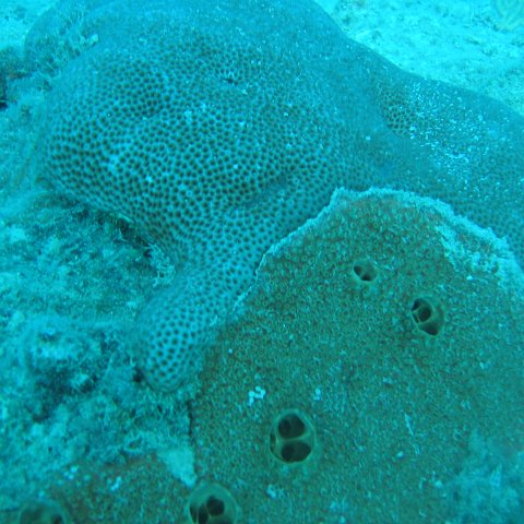 IMG_0856 IMG_0856