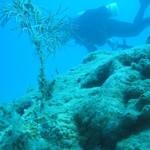 IMG_0857 IMG_0857