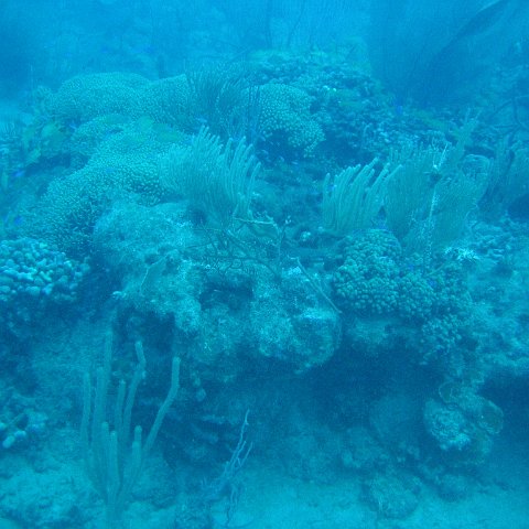 IMG_0865 IMG_0865