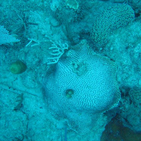 IMG_0873 IMG_0873