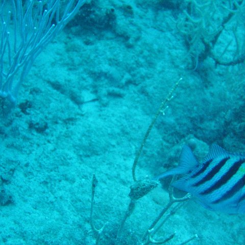 IMG_0876 IMG_0876