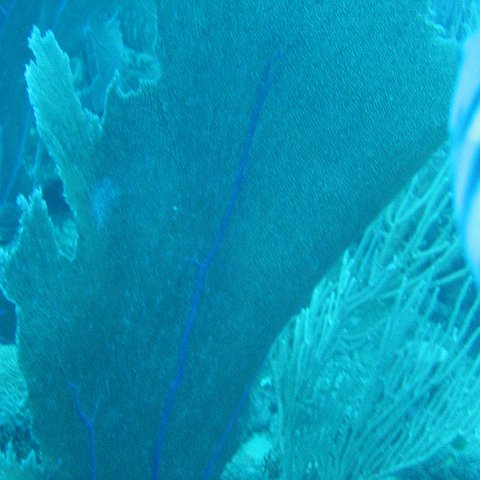 IMG_0879 IMG_0879