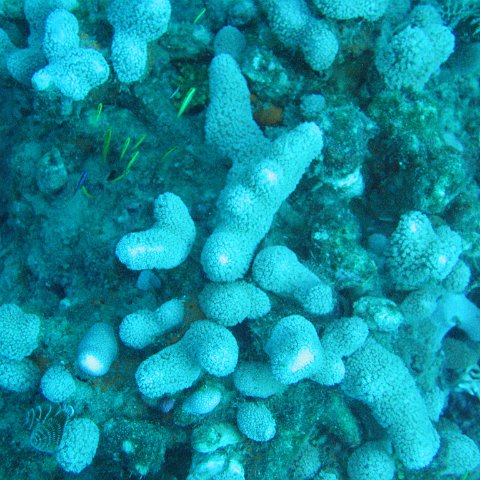 IMG_0882 IMG_0882